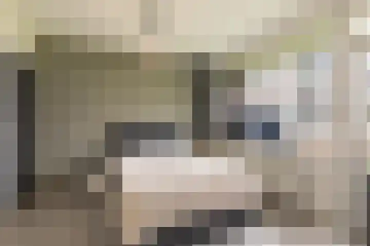 Zwin 3 Assen thumbnail 24
