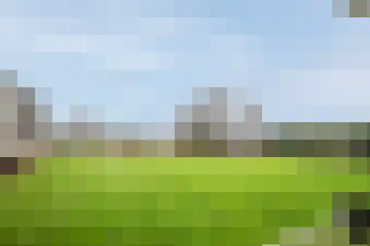 Zwin 3 Assen thumbnail 28