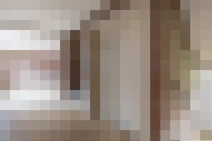 Zwin 3 Assen thumbnail 6
