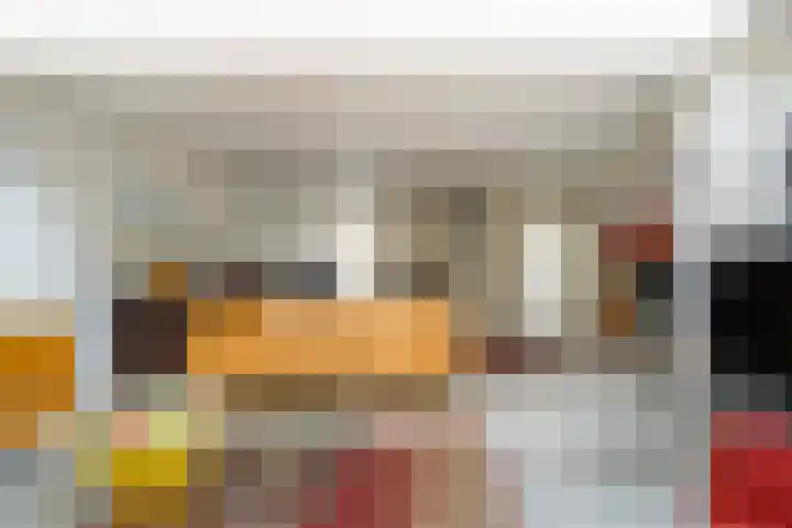 Zwin 5 Tilburg thumbnail 12