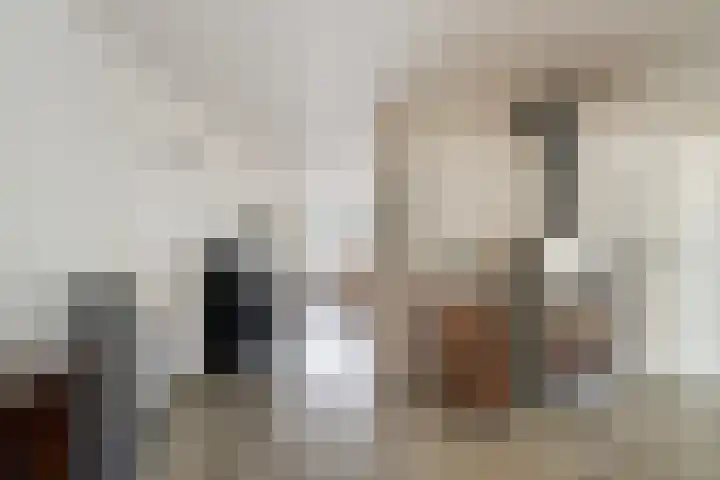 Zwin 5 Tilburg thumbnail 14
