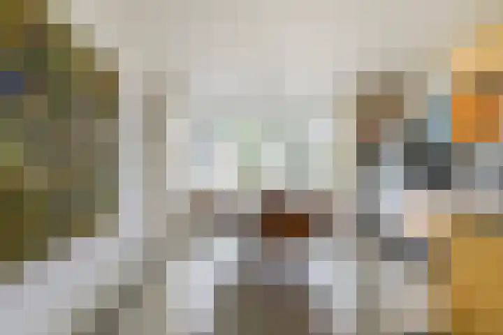 Zwin 5 Tilburg thumbnail 15