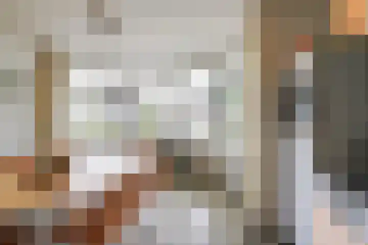 Zwin 5 Tilburg thumbnail 16