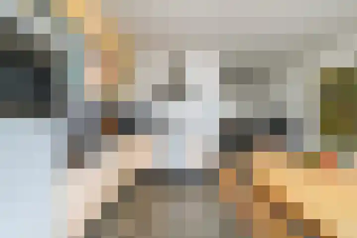 Zwin 5 Tilburg thumbnail 18