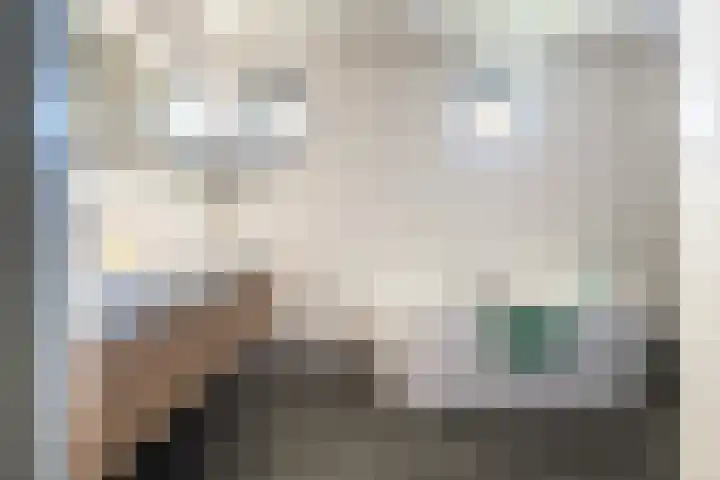 Zwin 5 Tilburg thumbnail 20