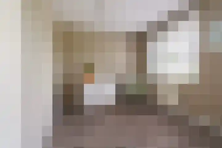 Zwin 5 Tilburg thumbnail 32