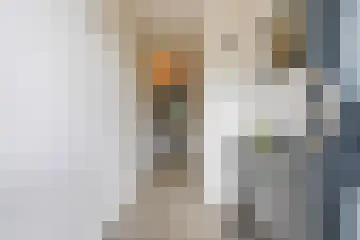 Zwin 5 Tilburg thumbnail 4