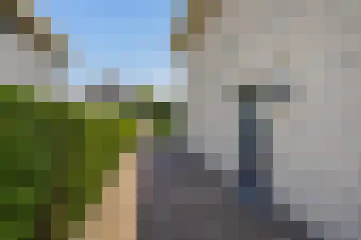 Zwin 5 Tilburg thumbnail 43