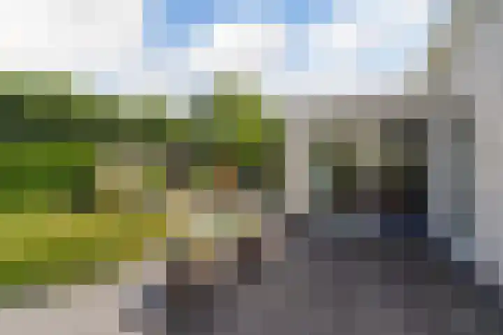 Zwin 5 Tilburg thumbnail 45