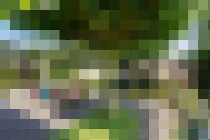 Zwin 5 Tilburg thumbnail 51