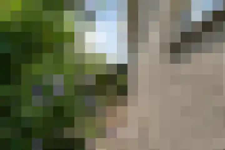 Zwin 5 Tilburg thumbnail 52