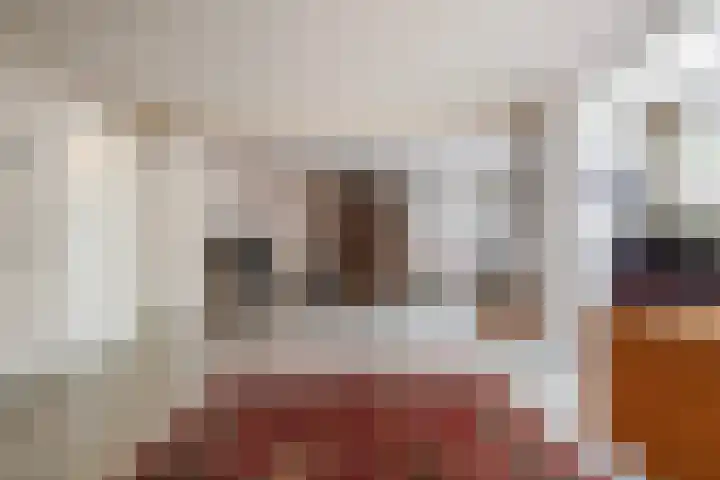 Zwin 5 Tilburg thumbnail 6