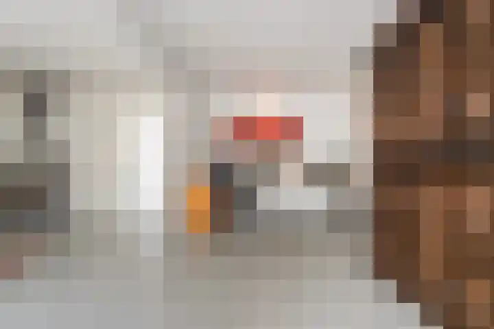 Zwin 5 Tilburg thumbnail 7