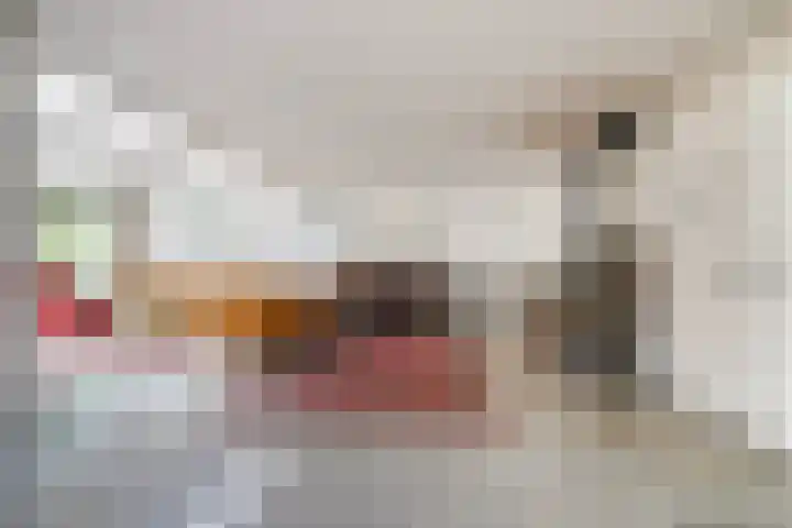 Zwin 5 Tilburg thumbnail 8