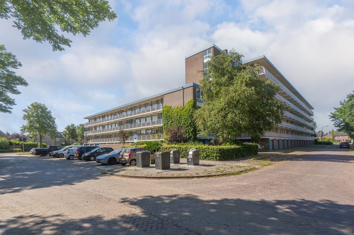 Zwin 73 in Assen foto