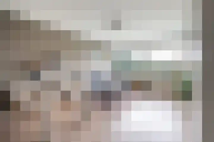 Zwin 73 Assen thumbnail 13