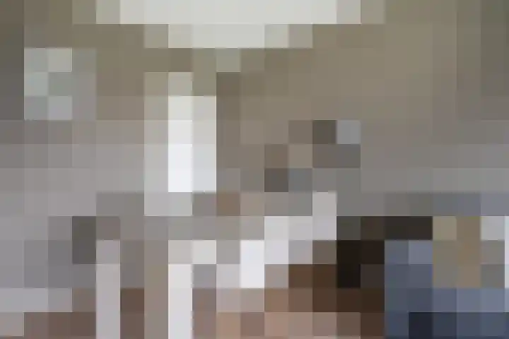 Zwin 73 Assen thumbnail 14