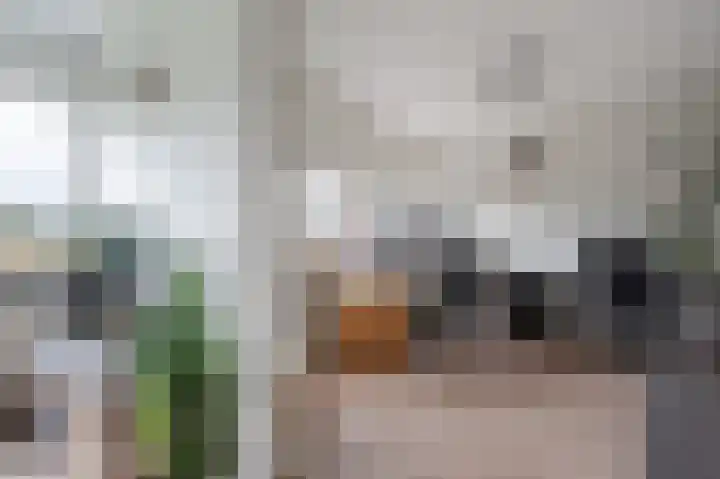 Zwin 73 Assen thumbnail 18
