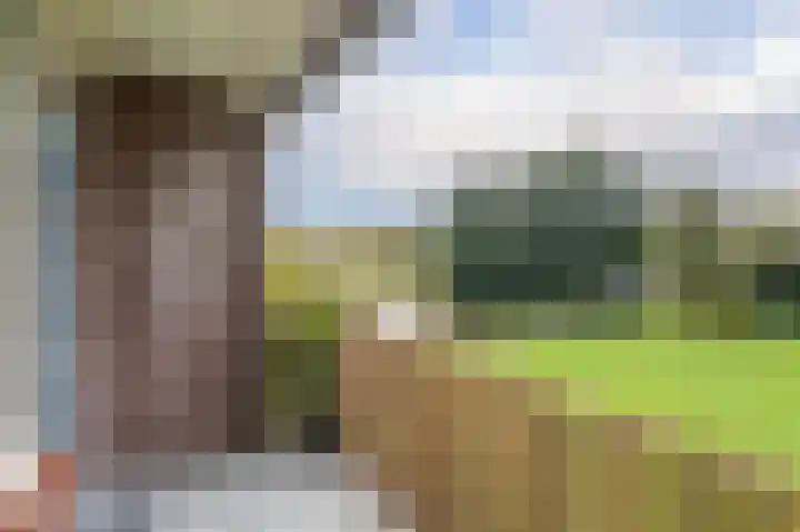 Zwin 73 Assen thumbnail 21