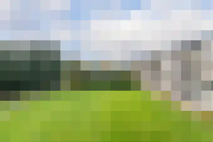 Zwin 73 Assen thumbnail 22