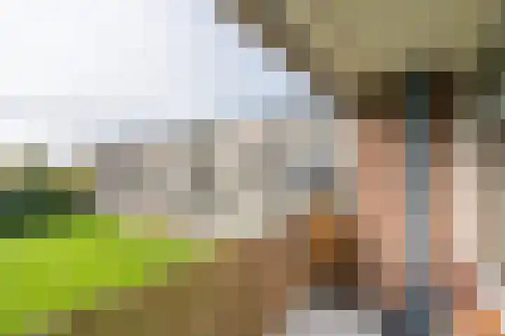 Zwin 73 Assen thumbnail 23