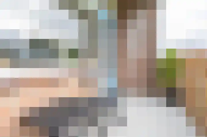 Zwin 73 Assen thumbnail 25