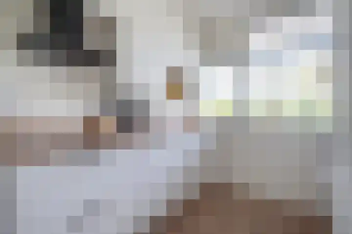 Zwin 73 Assen thumbnail 27