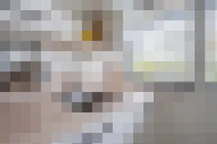 Zwin 73 Assen thumbnail 29