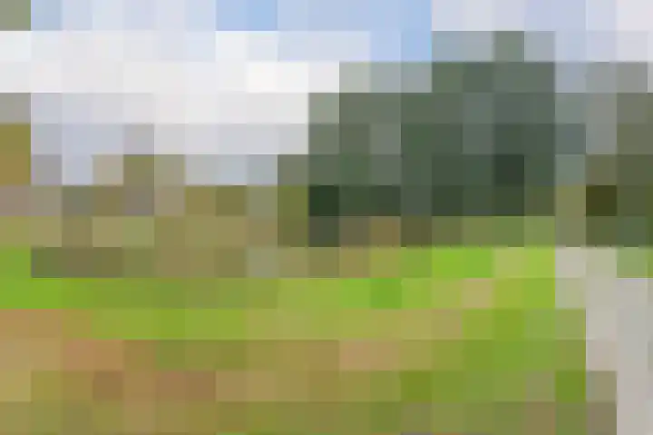 Zwin 73 Assen thumbnail 45