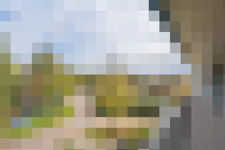 Zwin 73 Assen thumbnail 9