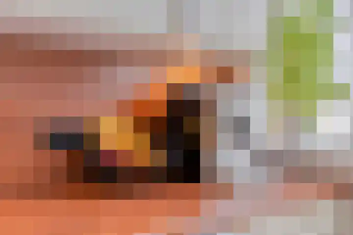 Zwingel 7 Zeeland thumbnail 17