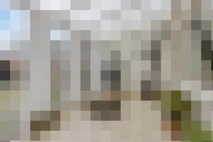 Zwingel 7 Zeeland thumbnail 18