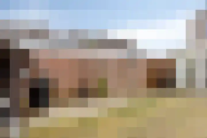 Zwingel 7 Zeeland thumbnail 33