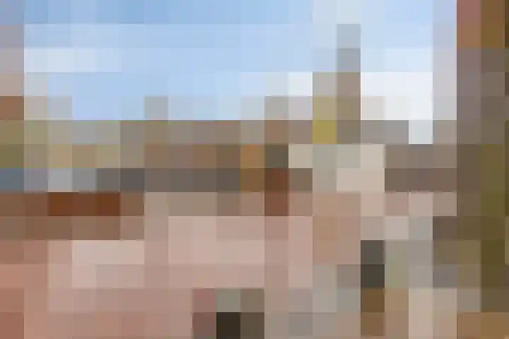 Zwingel 7 Zeeland thumbnail 35