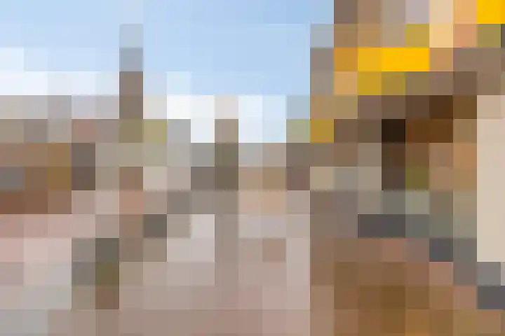 Zwingel 7 Zeeland thumbnail 36