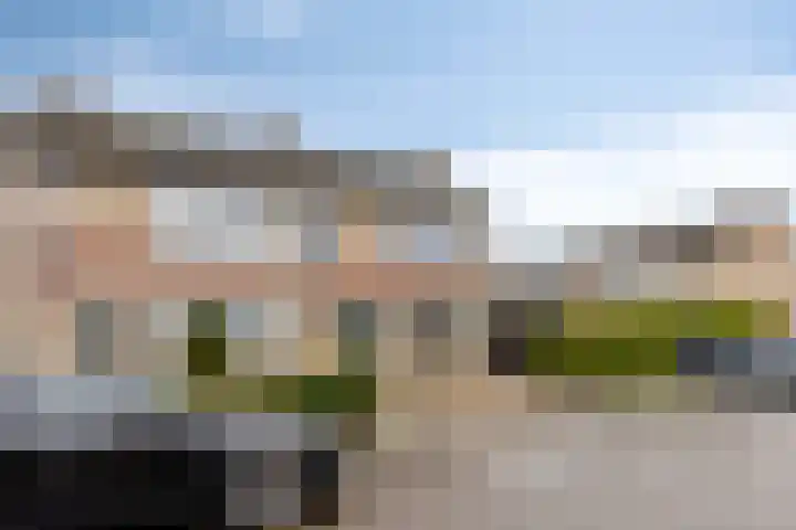 Zwingel 7 Zeeland thumbnail 5