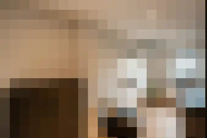 Zwingelstraat 3 Oss thumbnail 15