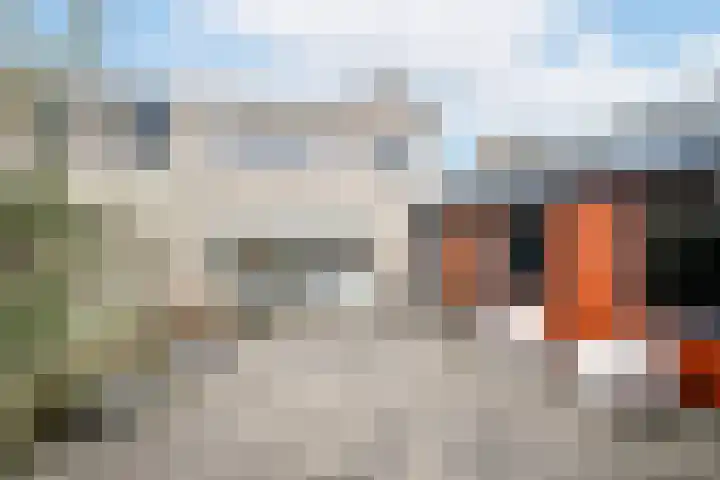Zwingelstraat 3 Oss thumbnail 18