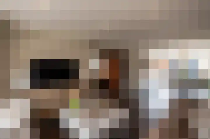 Zwingelstraat 3 Oss thumbnail 8