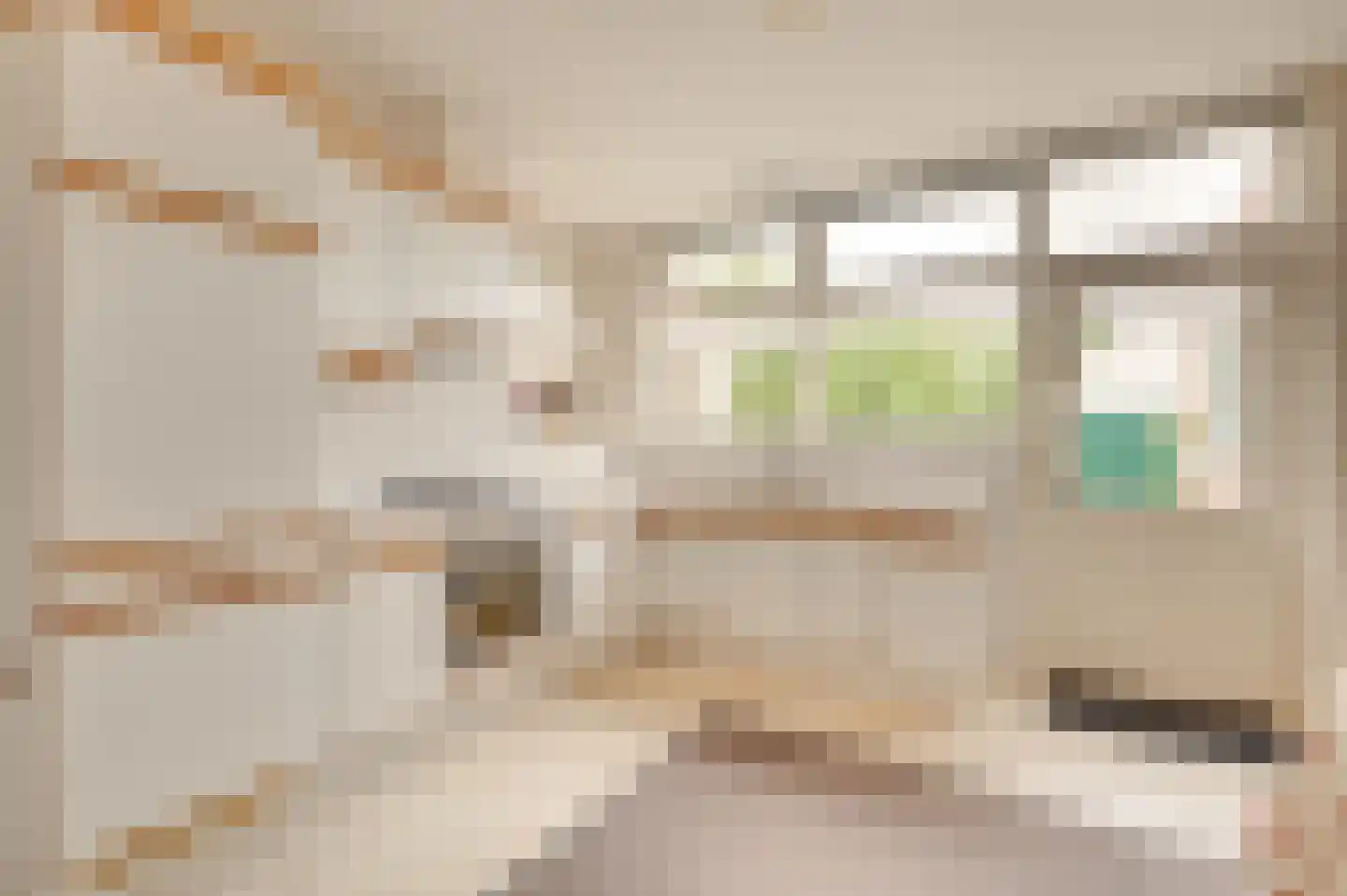 Zwinstraat 11 Retranchement thumbnail 16