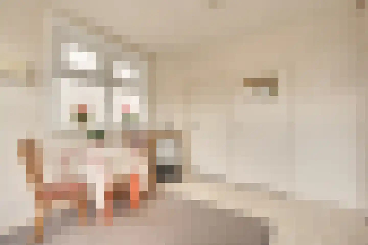 Zwinstraat 11 Retranchement thumbnail 17