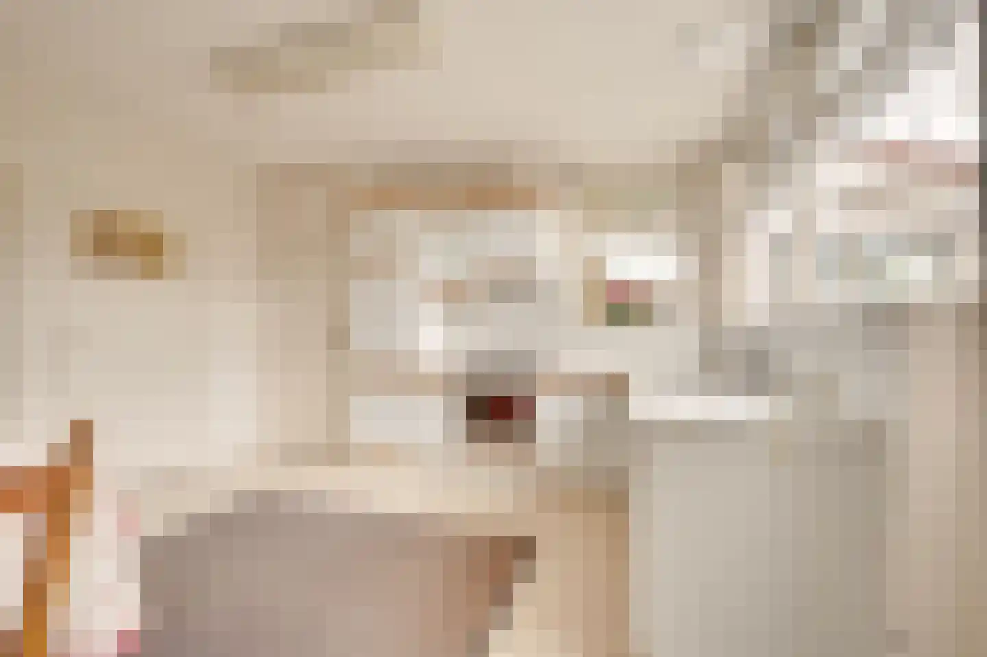 Zwinstraat 11 Retranchement thumbnail 18