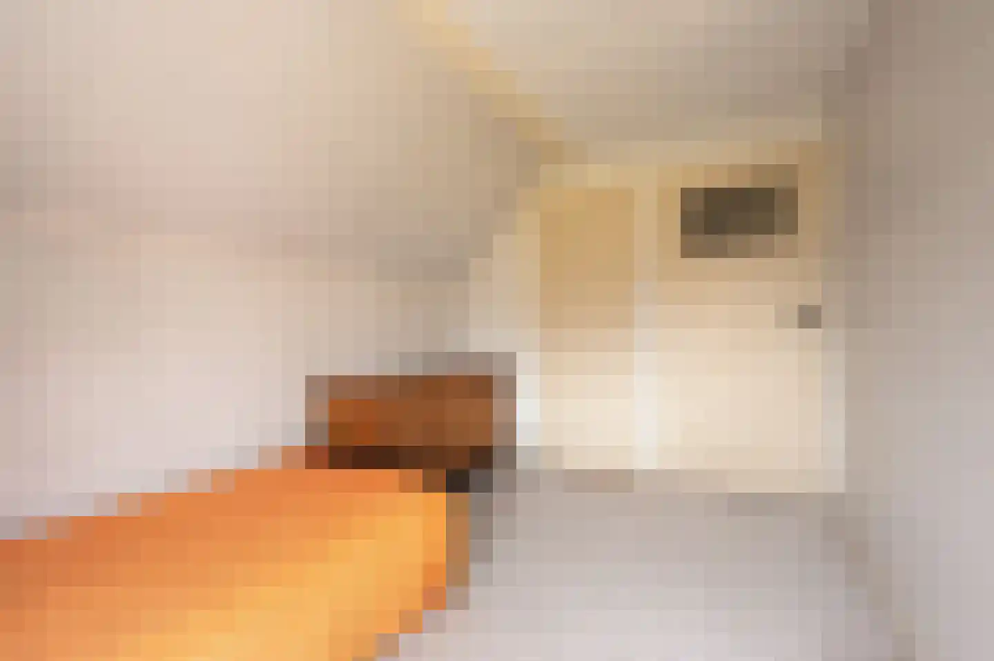 Zwinstraat 11 Retranchement thumbnail 22