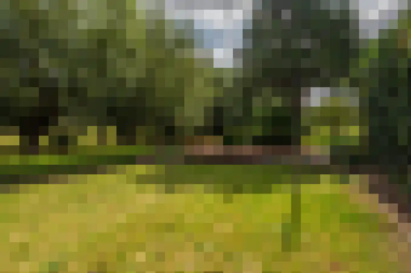 Zwinstraat 11 Retranchement thumbnail 28