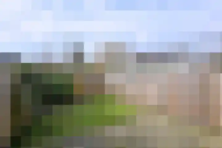 Zwolseweg 37 Deventer thumbnail 5