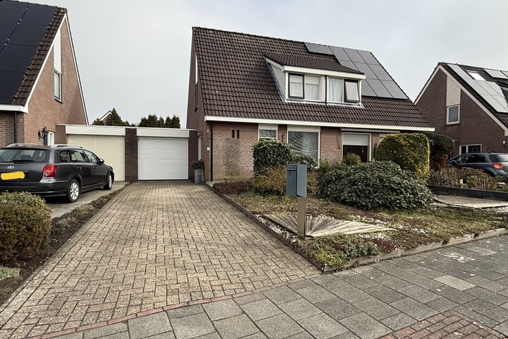 Aalgeer 23 in Delfzijl foto