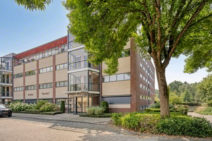 Aalscholver 4 in Etten-Leur foto
