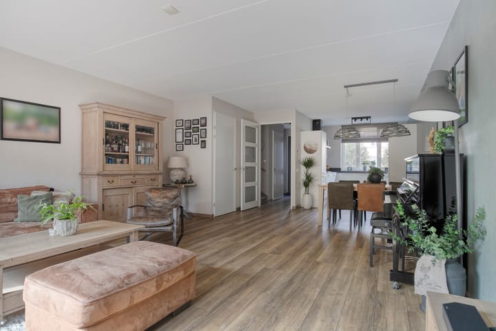 Aalscholver 45 in Hendrik-Ido-Ambacht foto