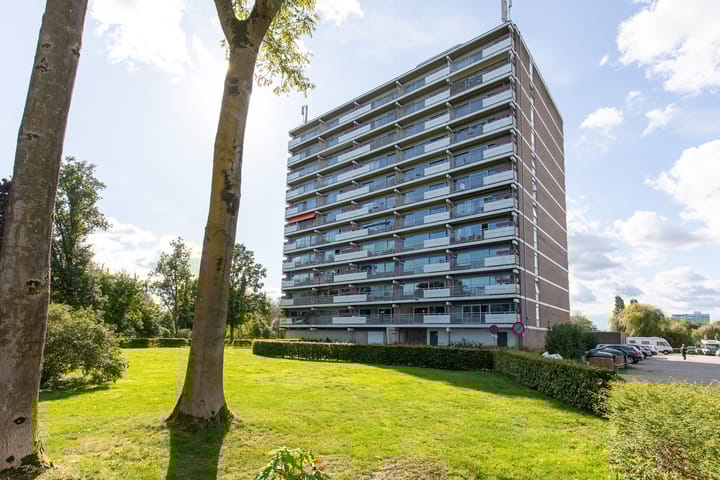 Aalscholversingel 448 in Velp foto