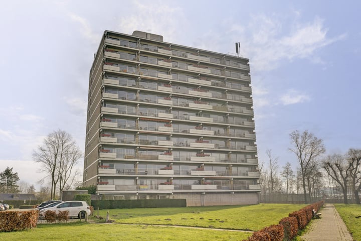 Aalscholversingel 486 in Velp foto